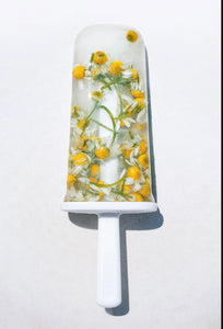 CHAMOMILE Chamaemelum nobile