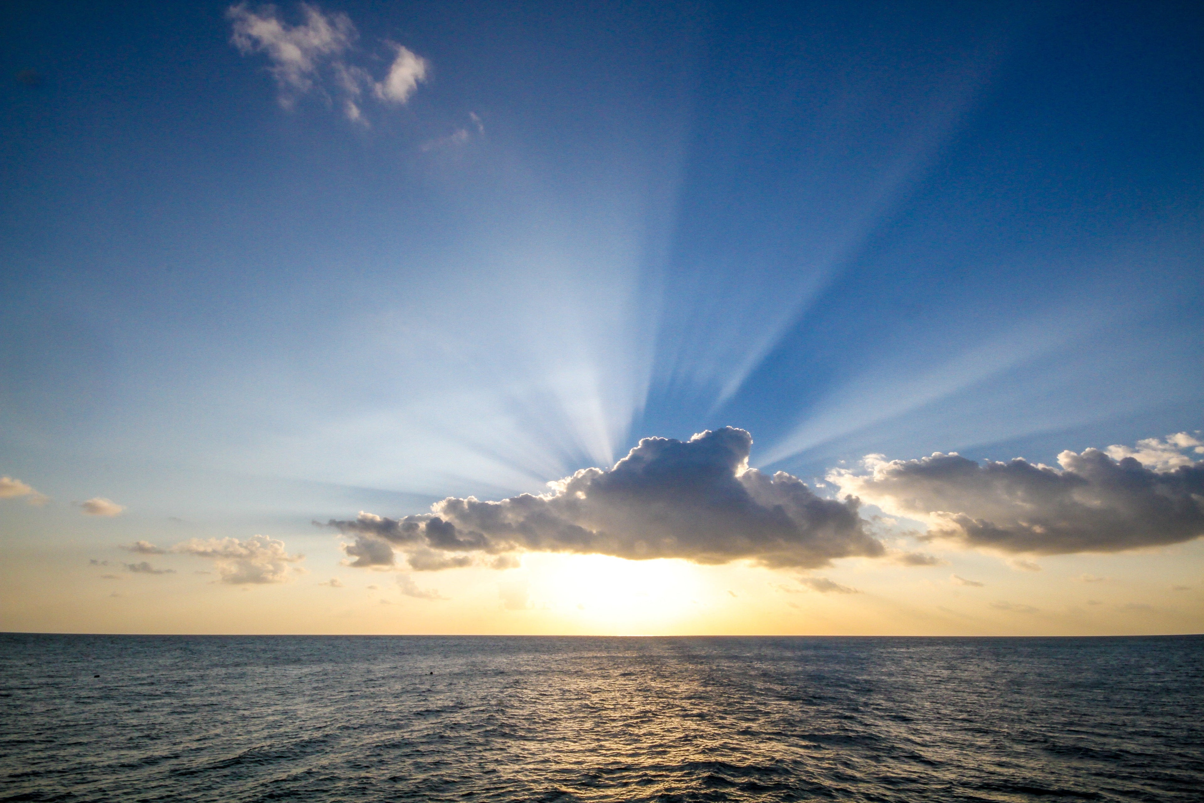 Products  with SPF 20