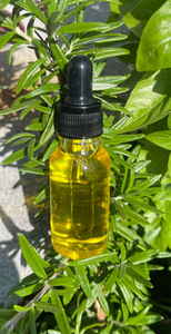 Sweet Rosemary Hair Oil
